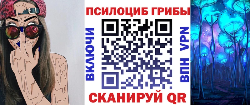 сайты даркнета какой сайт  Пудож  Псилоцибиновые грибы Psilocybine cubensis 