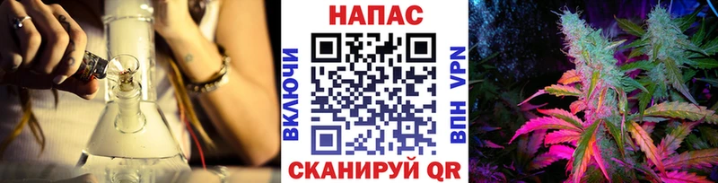 где купить Пудож Бошки марихуана OG Kush